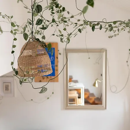 La Forêt Suspendue - T2 Douillet Avec Parking Gratuit