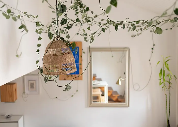 La Foret Suspendue - T2 Douillet Avec Parking Gratuit